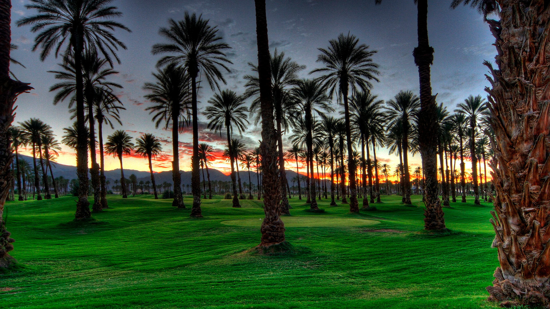 John Shelden Golf